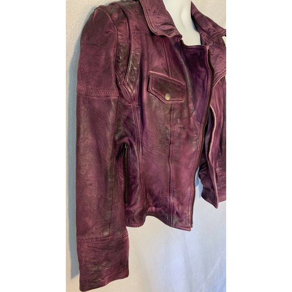 NWT Sold Out Import Joe Browns Purple Distressed - Picture 3 of 12